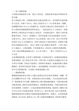 大树的挖掘及根系修剪