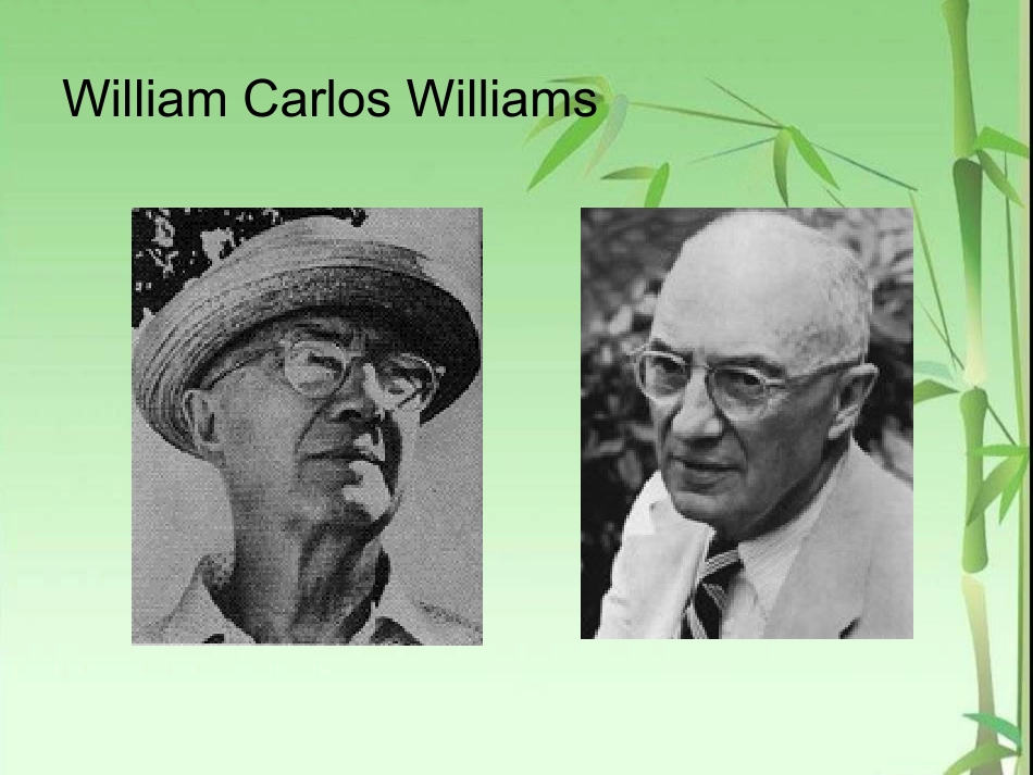 PPT——William Carlos Williams_第2页