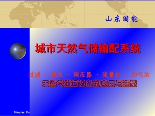 城市天然气储输配系统