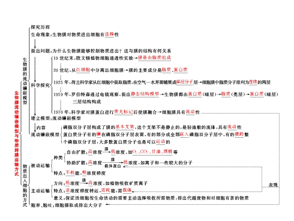 必修1 第三单元 第二讲  生物膜的流动镶嵌模型与物质跨膜运输方式_第3页