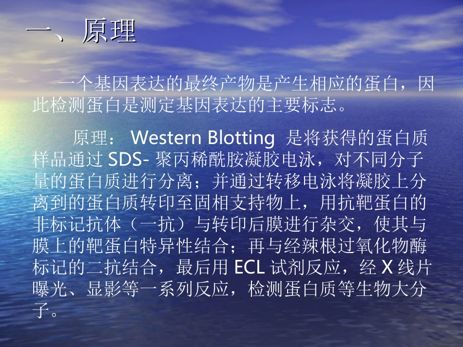 蛋白质的Wesrern印迹分析_第2页