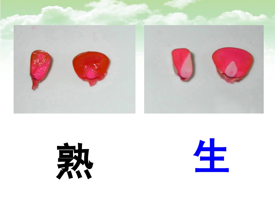 必修一4.2生物膜的流动镶嵌模型_第2页