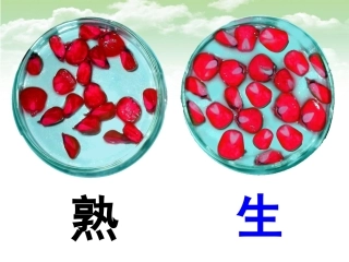 必修一4.2生物膜的流动镶嵌模型