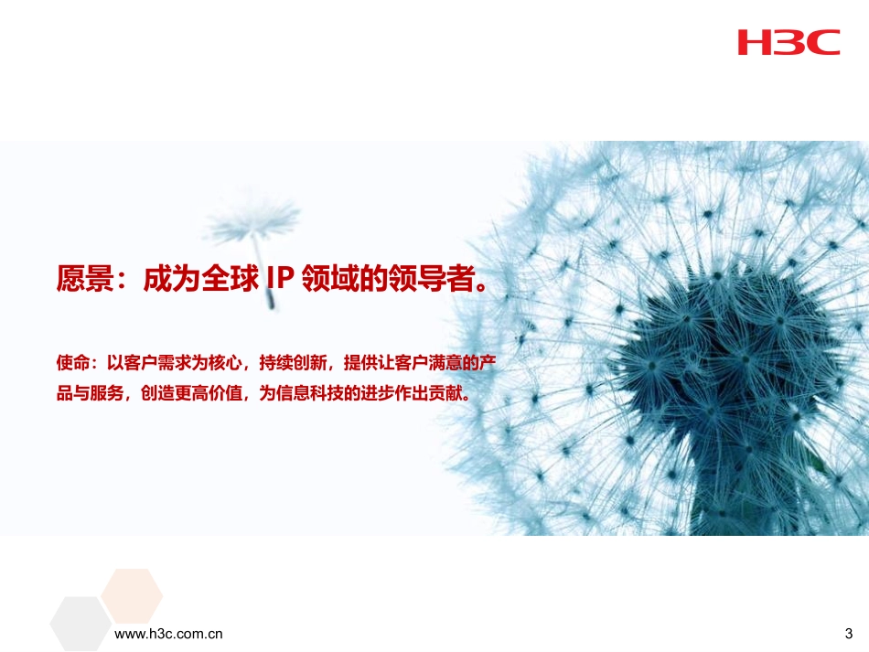 H3C公司介绍_第3页