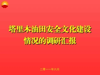 安全文化交流材料(新)