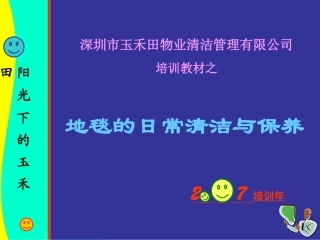 地毯的日常清洁与保养
