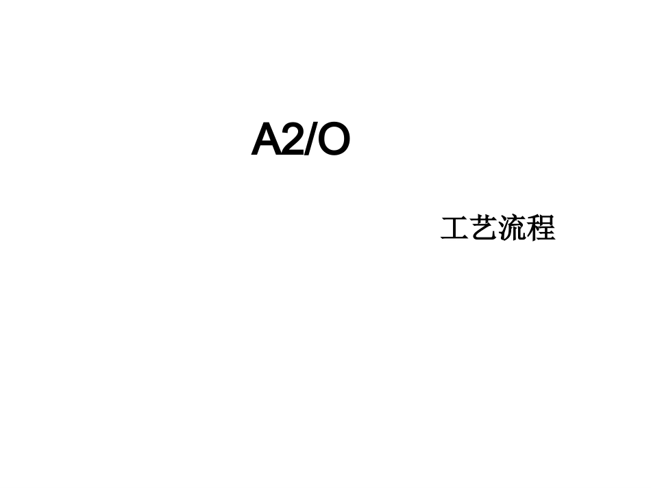 AAO及SBR工艺流程_第1页