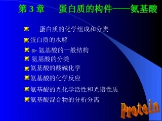 蛋白质的化学组成和分类