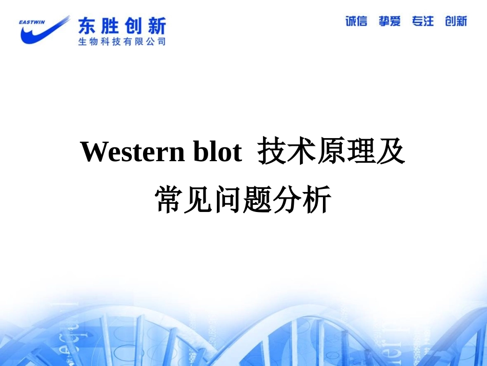 Western Blot 技术原理及常见问题分析2_第1页