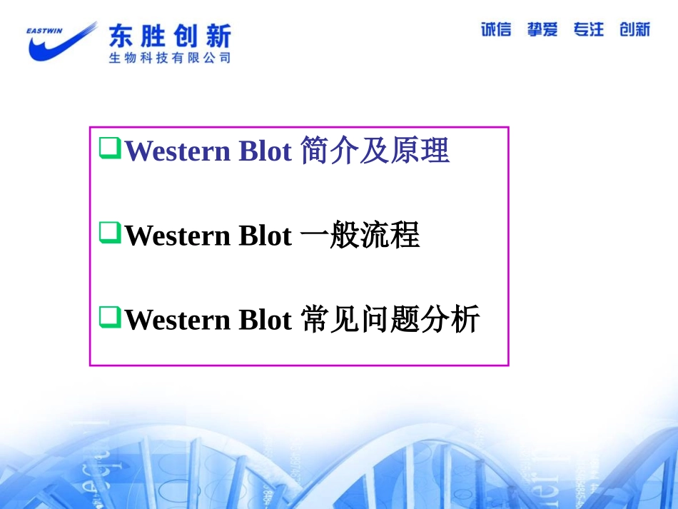 Western Blot 技术原理及常见问题分析2_第2页