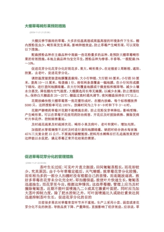 大棚草莓畸形果预防措施