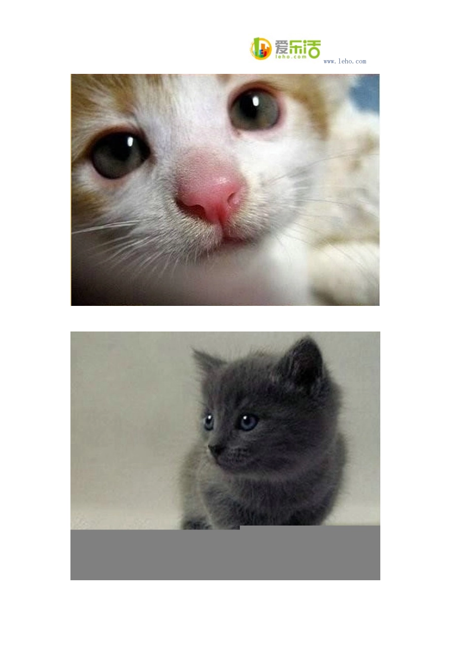 创意字母 卧室背景墙设计的得意之作_第2页