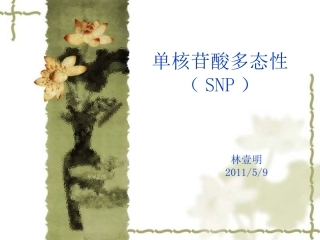 SNP 检测方法