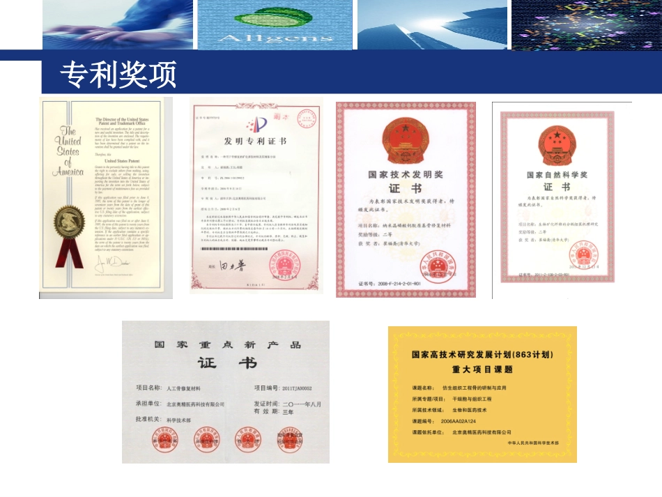 奥精骼金产品仿生骨介绍_第2页