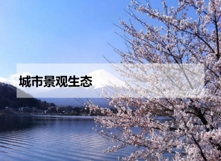 城市景观生态 3