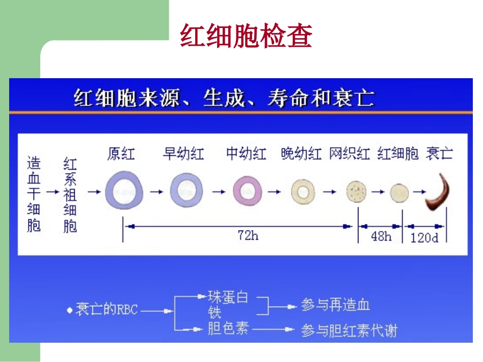 常用实验室检查( 血常规)_第2页