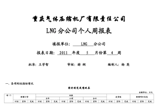 LNG分公司周报模板
