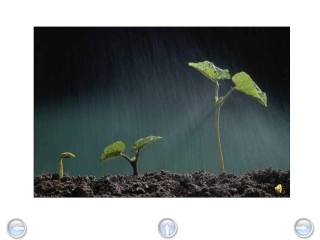 春天的小雨滴滴滴