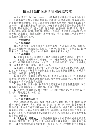 白三叶草的应用价值和栽培技术