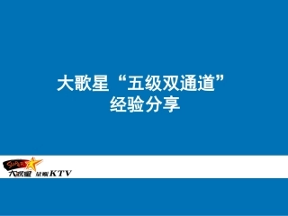 大歌星五级双通道20110725