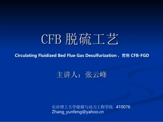 CFB脱硫工艺