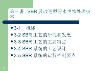 第3讲SBR工艺