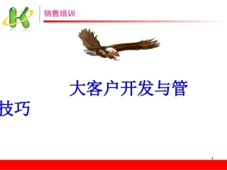 大客户开发与管理技巧