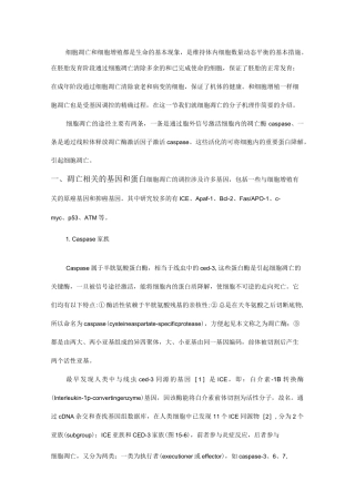 凋亡相关的基因和蛋白