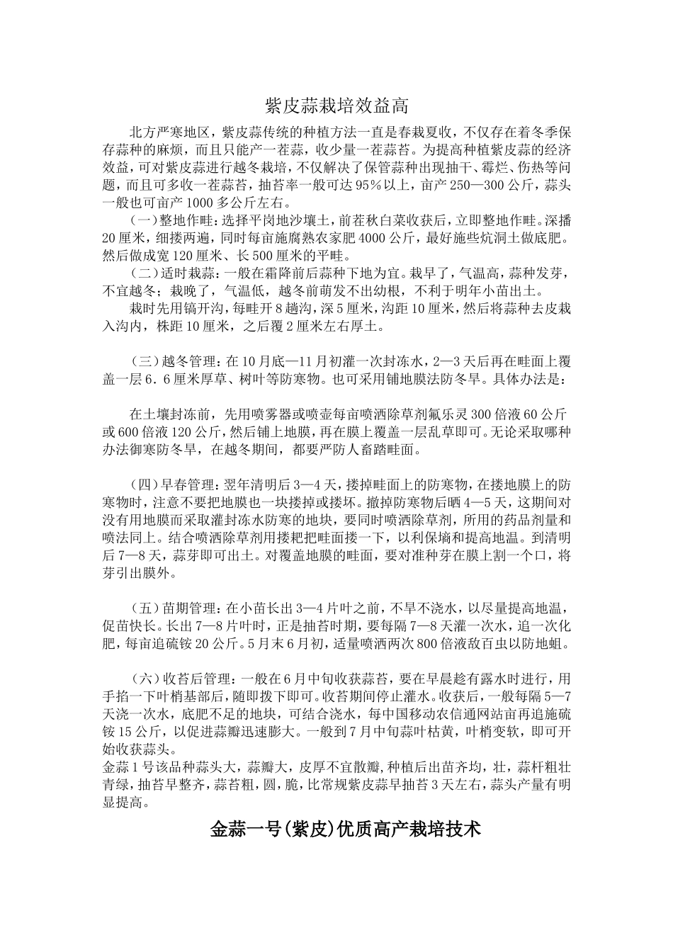 大蒜栽培效益高_第1页