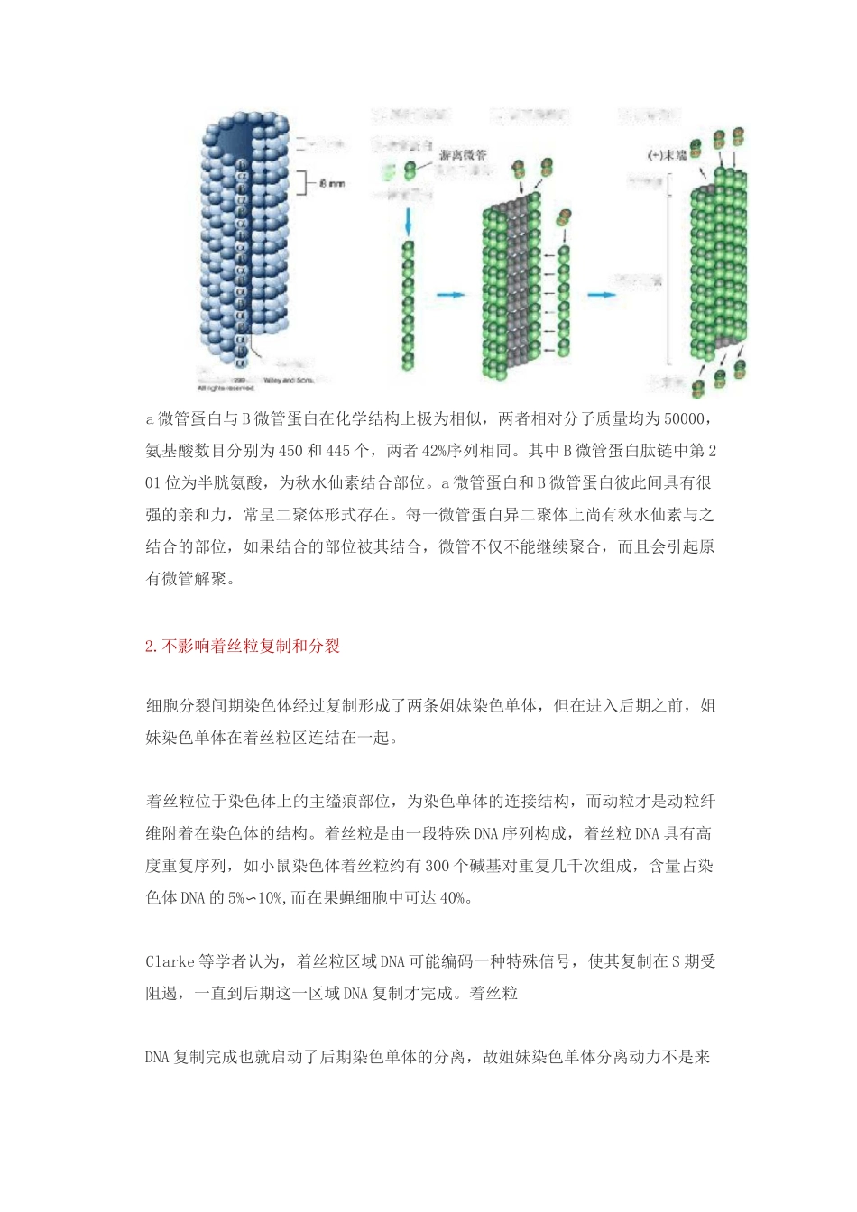 秋水仙素作用后染色体数目加倍的机理和细胞的同步化_第3页
