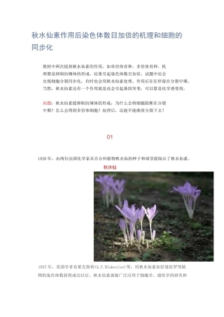 秋水仙素作用后染色体数目加倍的机理和细胞的同步化