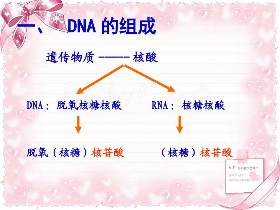DNA的组成与结构_第2页