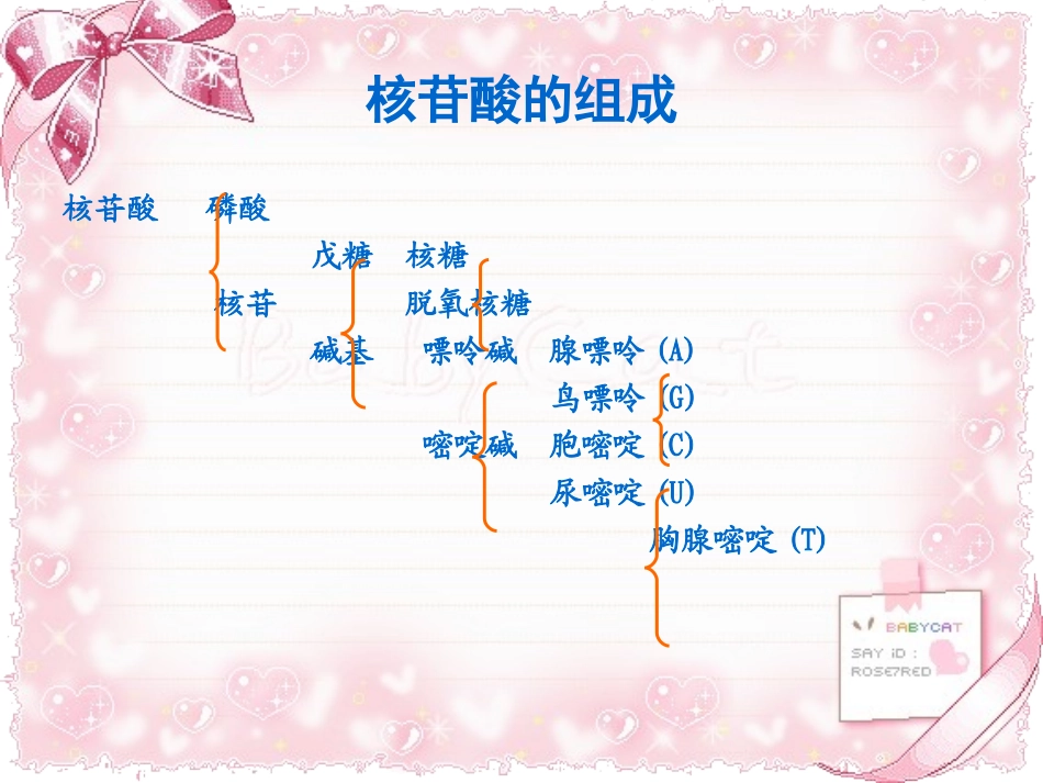 DNA的组成与结构_第3页