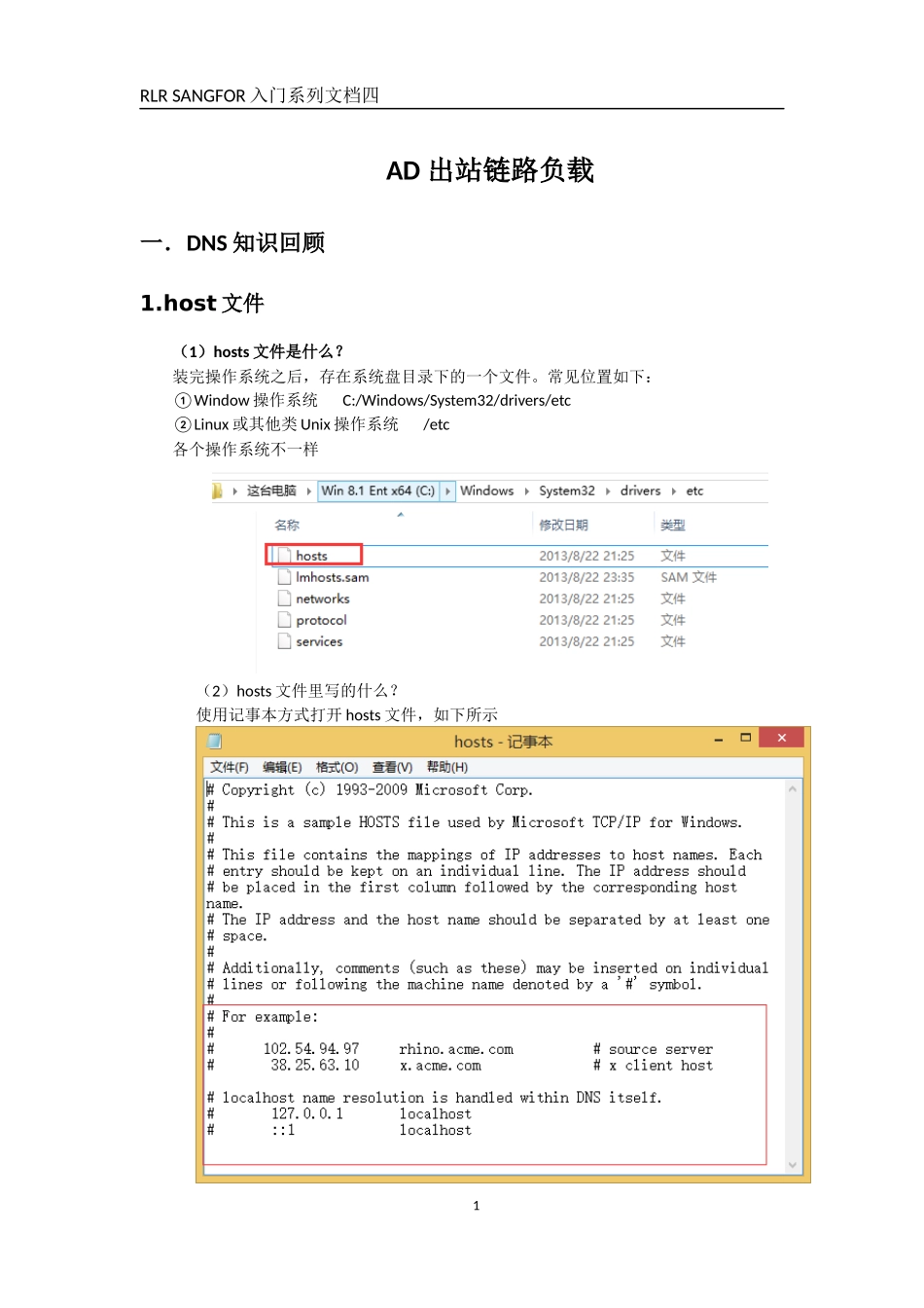 RLR-SANGFOR AD DNS代理和智能路由(出站)_第2页
