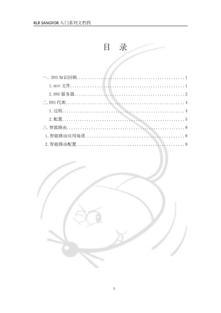 RLR-SANGFOR AD DNS代理和智能路由(出站)