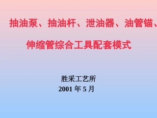 抽油泵、抽油杆、泄油器、油管锚、伸缩管综合工具配套模式