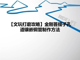 【文玩打磨攻略】金刚菩提子孔道镶嵌铜管制作方法
