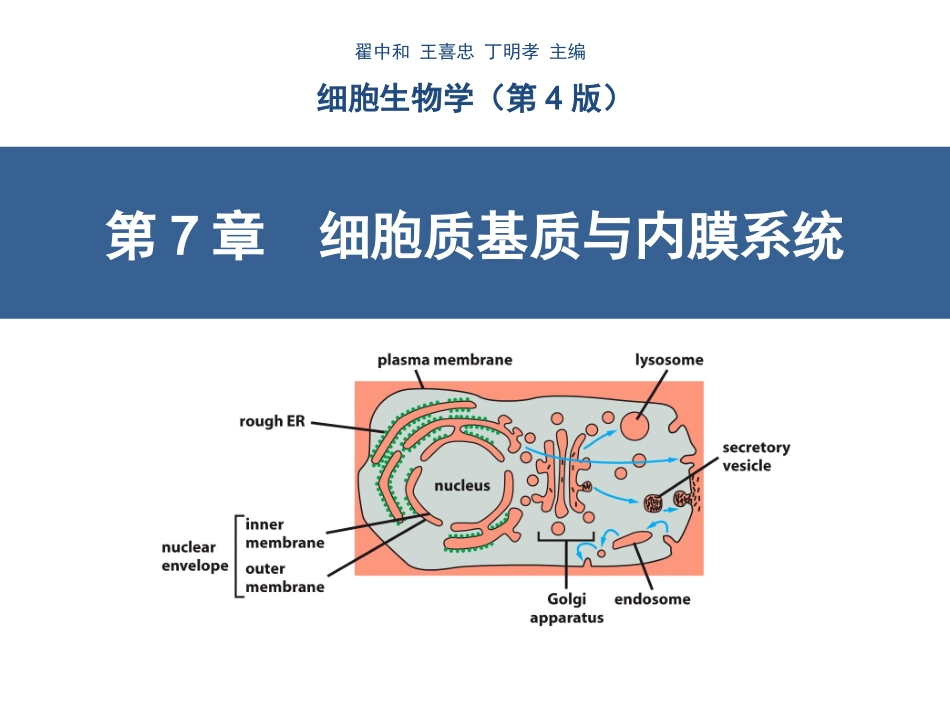 第7章__细胞质基质与内膜系统_第1页