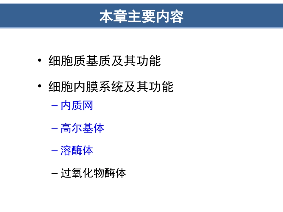 第7章__细胞质基质与内膜系统_第2页