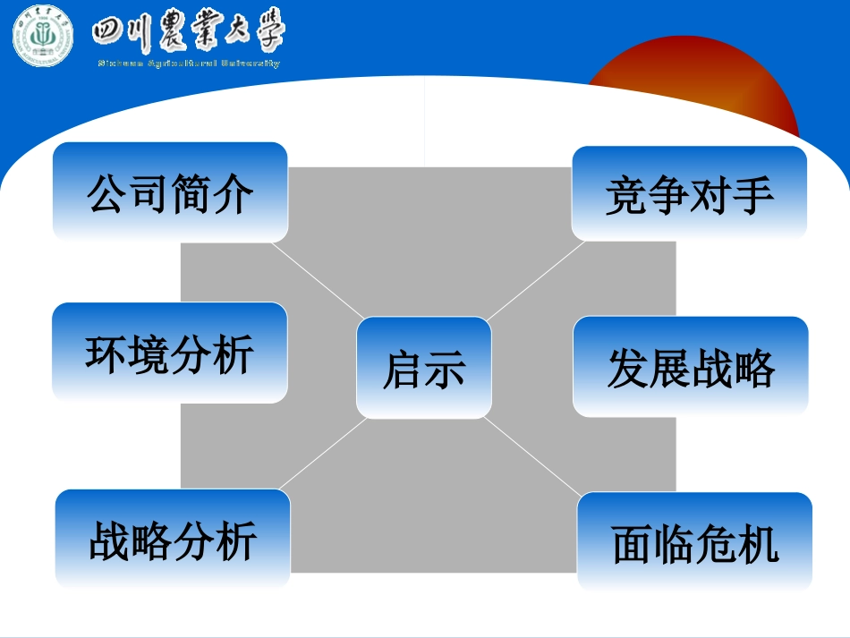 百事公司企业战略分析_第2页