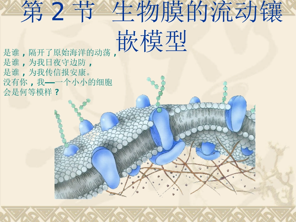 第2节 生物膜的流动镶嵌模型(还不错推荐给大家)_第1页
