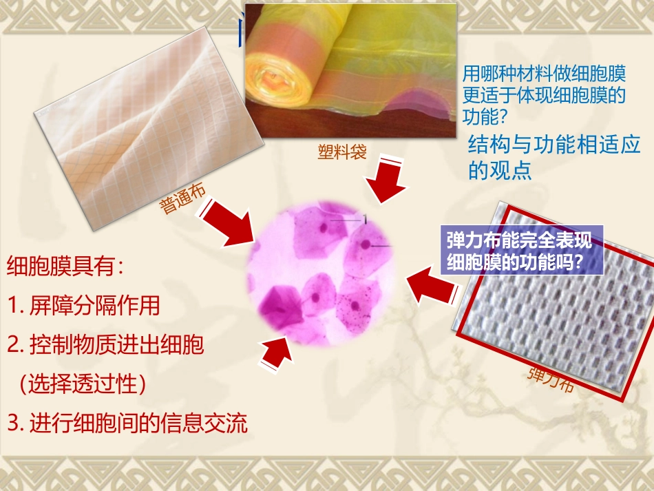 第2节 生物膜的流动镶嵌模型(还不错推荐给大家)_第2页