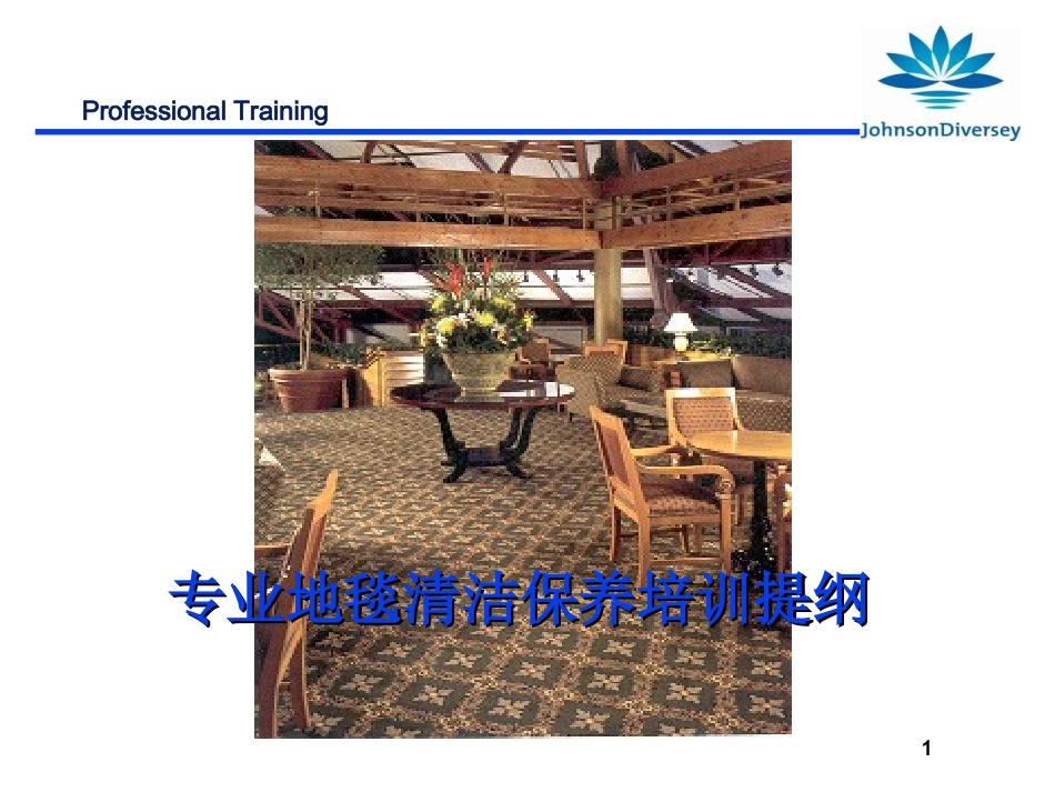地毯清洁保养_第1页
