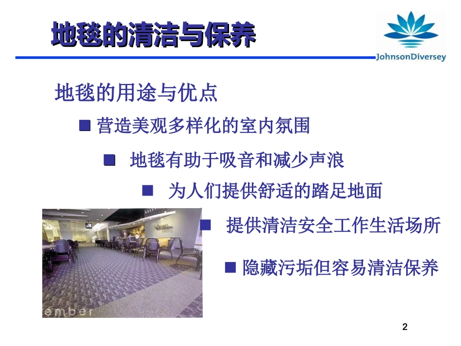 地毯清洁保养_第2页
