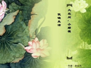 低碳生活-大空间,小绿植