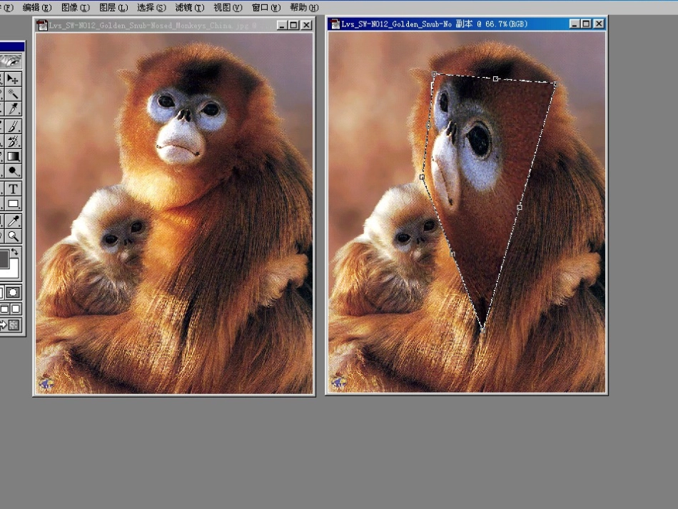 ch10图像几何校正_第2页