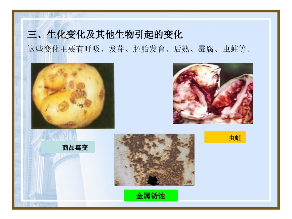 第6章库存物的维护与保养_第1页