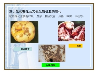 第6章库存物的维护与保养