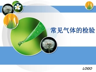初中常见气体的检验