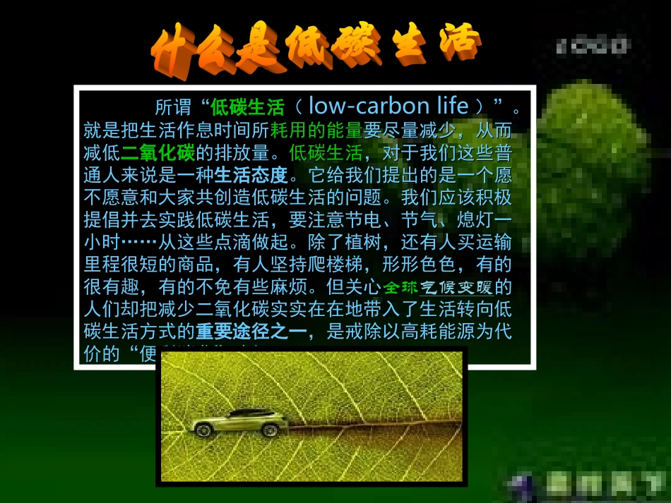 低碳环保的生活_第3页